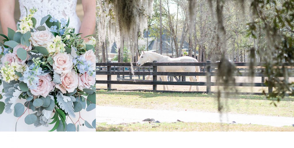 Horse and flowers at Pepper Planatation