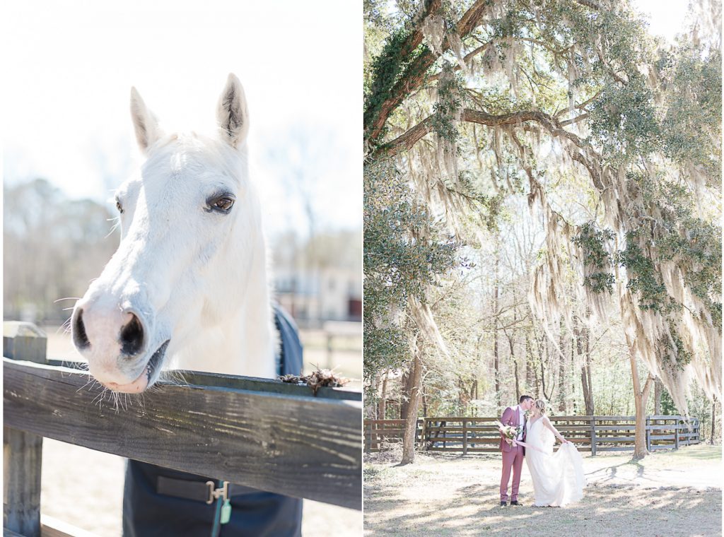 close up of white horse and couple kissing near fence on horsefarm
