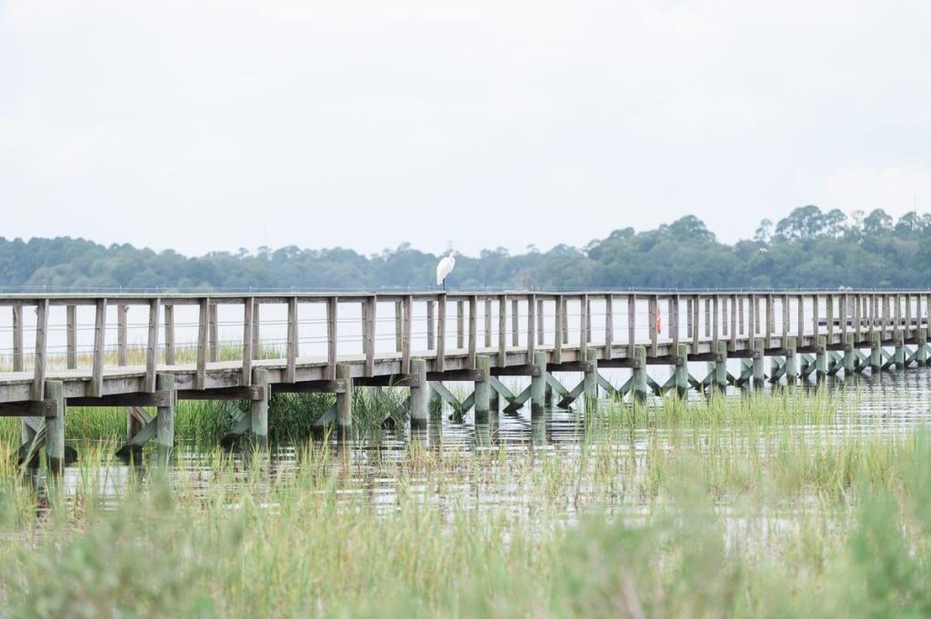 Lowndes Grove Dock with herron stting on railing