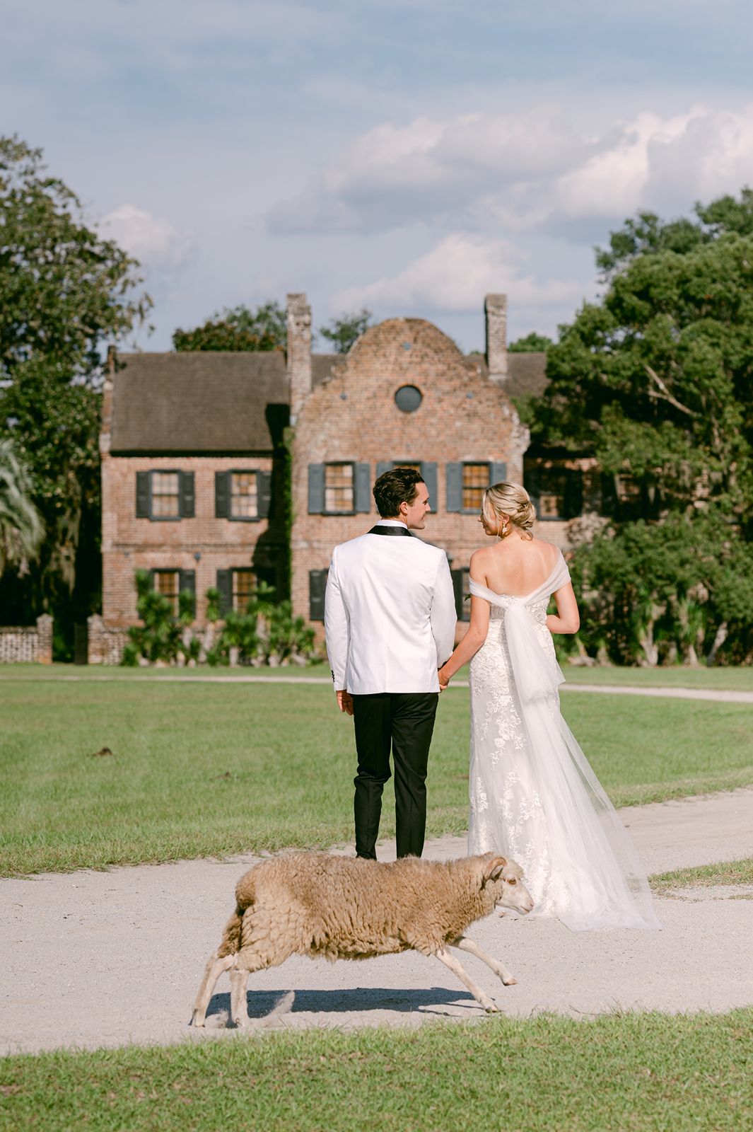 a sheep jumps behind newlyweds walking towards historic home