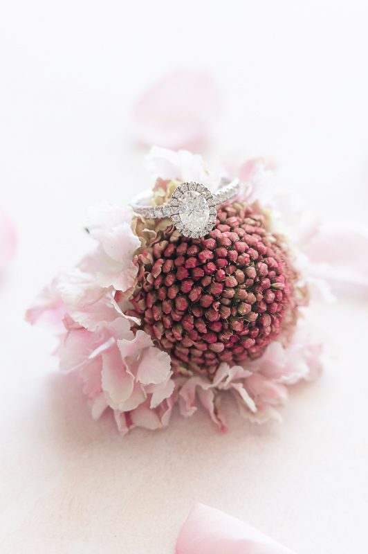 close up of engagement ring sitting on pink flower